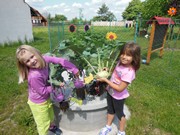 Zahradničíme ve školce